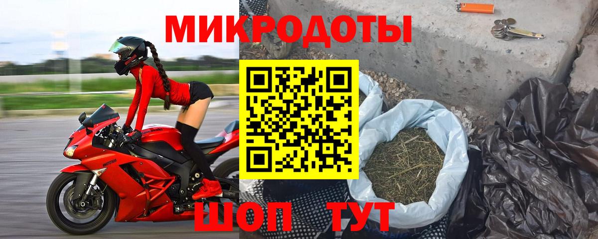 Галлюциногенные грибы Cubensis  Вход с VPN  Серов 